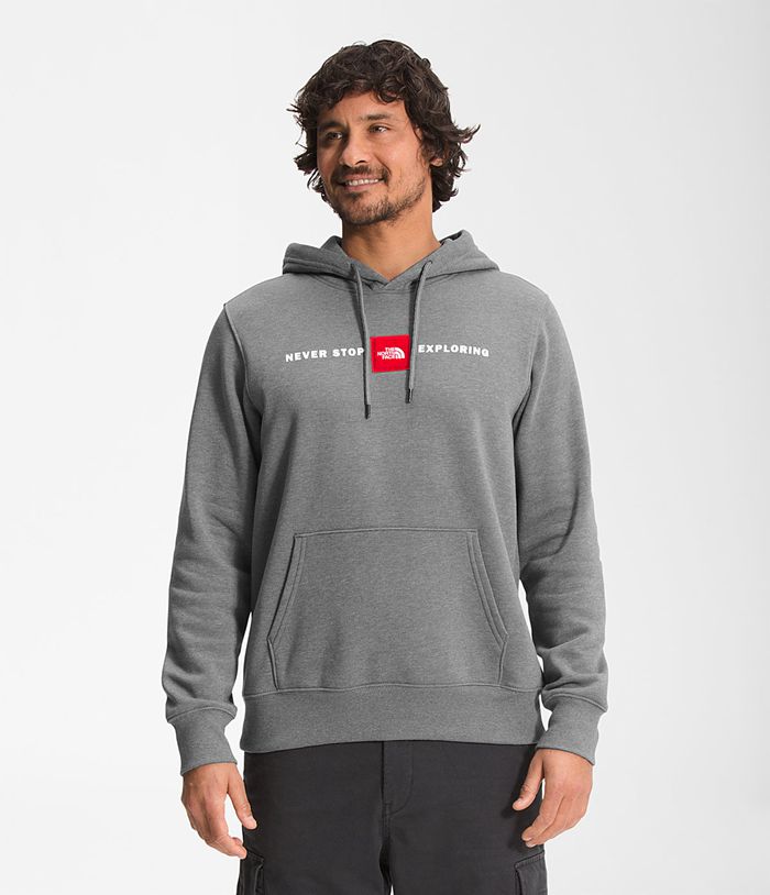 The North Face Hoodie Red’s Pullover Grey - Mens - Thailand NDASV-9103